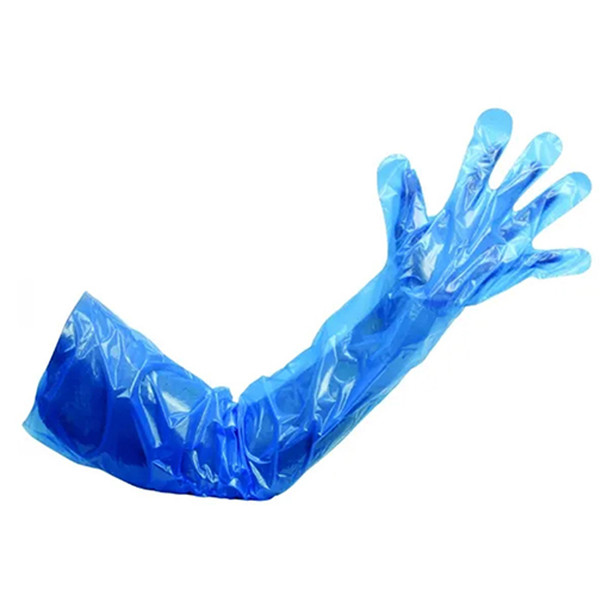 Gloves Polythene Gauntlet Blue Pk 50 Case of 50