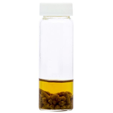 Cooked Meat Medium with B/Heart Infusion Broth 10ml Pk 50 - Trafalgar ...