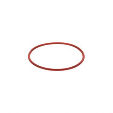 P121316 - Cummins ISX CM870 Water Pump O-Ring  | 3678724