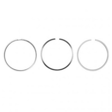 P305010 - CAT 3406B Piston Ring Set | 1W-8922