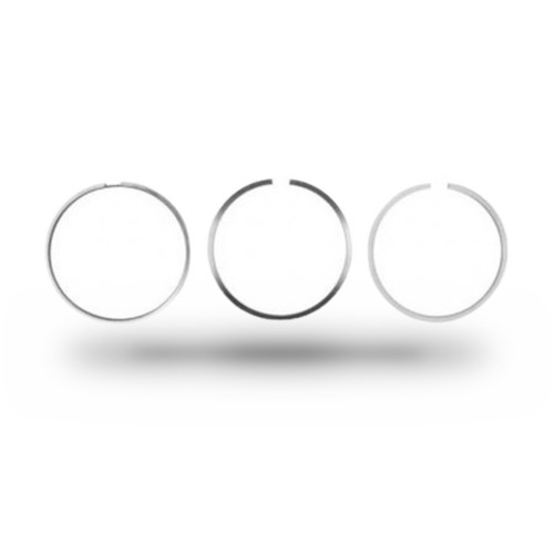 P305010 - CAT 3406B Piston Ring Set | 1W-8922