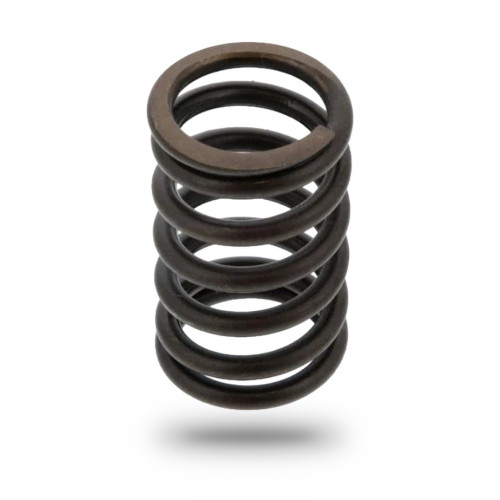 P491032 - International DT530E / DT466E Valve Spring | 1842146C1