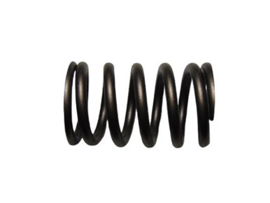 P491032 - International DT530E / DT466E Valve Spring | 1842146C1
