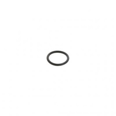 P121422 - Cummins ISX Coolant O-Ring | 3683814
