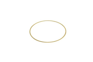 P162030 - Cummins ISX 0.032" Liner Shim | 5298565