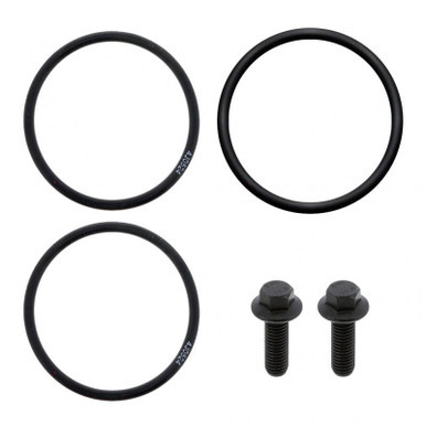 P421238 - International DT466E EGR Valve Seal Kit | 1889136C91