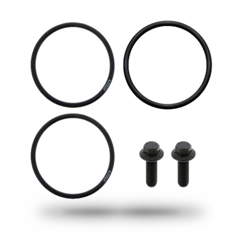 P421238 - International DT466E EGR Valve Seal Kit | 1889136C91