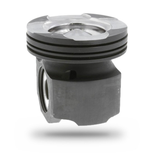 P111660 Piston Kit - Side View
