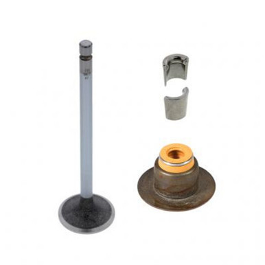 P192138 - Cummins ISB / QSB Intake Valve Kit | 3802924