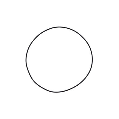 P121310 - Cummins ISX CM570 Liner O-Ring | 3678737