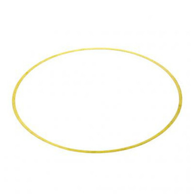 P162000 - Cummins N14 Liner Shim .007" | 3019955