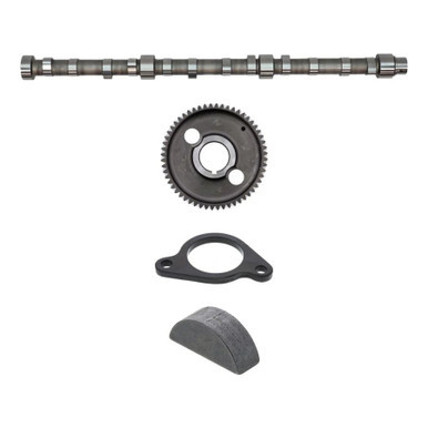 P490024 - International DT466E Camshaft Kit | 1854644C94