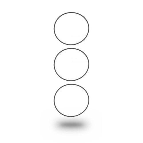 P421204 - International DT360 Liner O-Ring Kit | 1809938C91