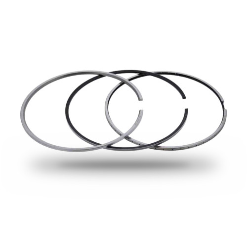 P505179 - Cummins ISX CM2250 Piston Ring Kit | 4376565