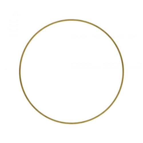 P462034 Liner Shim - Top View