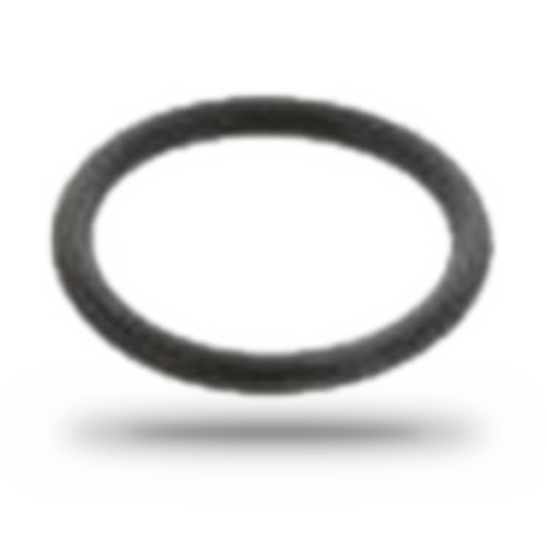 P121422 - Cummins ISX Coolant O-Ring | 3683814