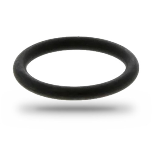P121425 - Cummins Turbocharger O-Ring | 3949708