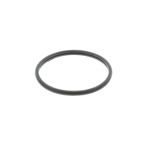 P121375 - Cummins ISB/  QSB Thermostat Seal | 3942454