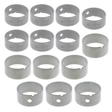 P151557 - Cummins ISX Camshaft Bushing Kit | 4309097