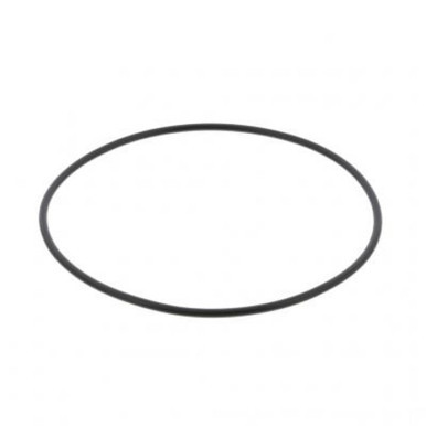 P121221 - ISX Valve Cam Adapter Plate Outer O-Ring | 3679934