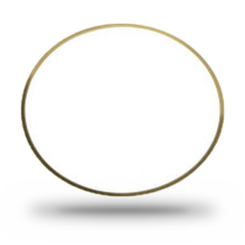 P162029 - Cummins ISX Liner Shim 0.20" | 5298564