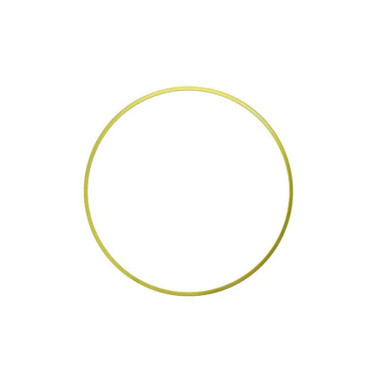 P162004 - Cummins N14  .032" Liner Shim | 3019959