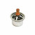 P381850 - CAT 3406E / C15 Thermostat |  248-5513