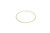 P162030 - Cummins ISX 0.032" Liner Shim | 5298565