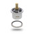 P181830 - Cummins 855 / N14 Thermostat Kit | 201737