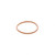P621216 - Detroit Diesel Series 60 Injector O-Ring | 5234702