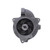 P181883E Water Pump - Rear View