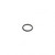 PAI Cummins ISX Coolant O'Ring | 3683814