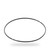 P121203 - PAI - Cummins L10 Liner O-ring |3047188