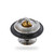 PAI Cummins ISC QSC 180° Thermostat Kit | 5273379