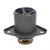 P481832 Coolant Thermostat - Side View