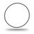 P121221 Valve Cam Adapter Plate Outer O-Ring - Top View