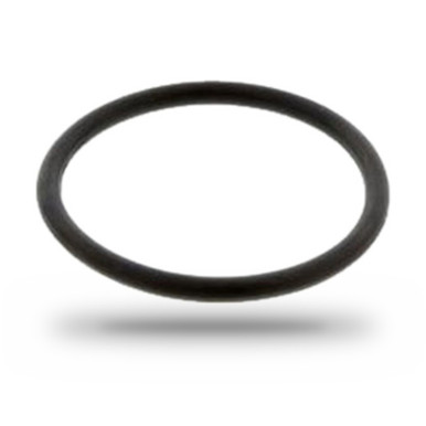 P136021 - Cummins 855 Camshaft Retainer O-Ring | 215705