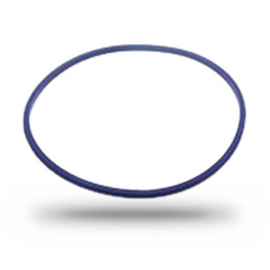 Detroit Diesel Series 60 Cylinder Liner Sealing Ring | 8929176