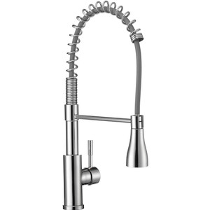 Rainier Coil Pull-Down Kitchen Faucet Rainier Coil Pull-Down Kitchen Faucet