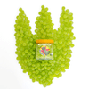 Candy Club's Disney and Pixar Toy Story Rex candy cup in the middle of a dinosaur footprint made of green candy pieces.
©Disney/Pixar.