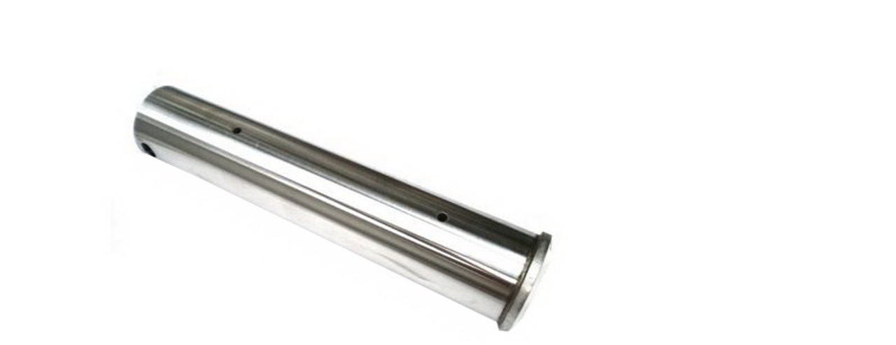 P. willinckii ’Jenny’ TC2131 Platycerium willinckii 'Jenny' | Welovetropicalplants