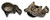 6136-52-1100: PUMP, OIL (TZ1)
