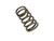 1906117: VALVE SPRING,  (TZ1)
