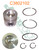 C3802102-tz7:  **KIT, PISTON 0.50MM B SERIES