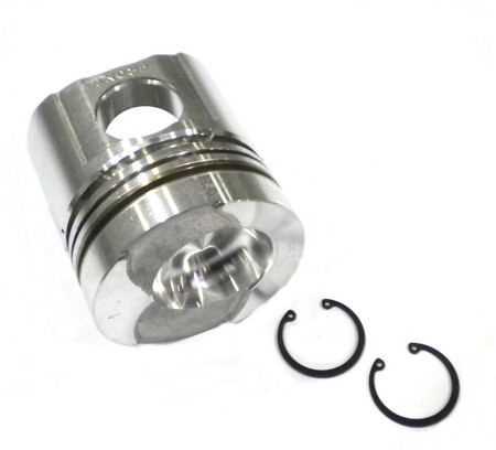 りんご りんご 『 アルプス乙女 』 （ ミニリンゴ ） 接ぎ木ポット苗