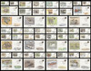 Waterbirds of the 50 States Set of 50 Fleetwood 1992 - 93 Large Envelopes Commemorative Covers
