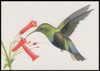 Copy of UX293 - UX296 / 20c Tropical Birds 1998 Set of 4 USPS Postal Cards