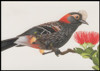 Copy of UX293 - UX296 / 20c Tropical Birds 1998 Set of 4 USPS Postal Cards