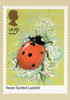 Insects 1985 Set of 5 British PHQ Cards #82