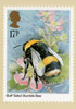 Insects 1985 Set of 5 British PHQ Cards #82